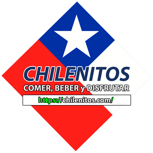 instalacion-de-aire-acondicionado.ves.cl - chilenos - chilenitos